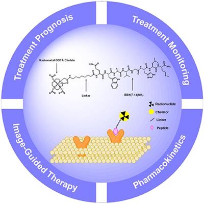 New Frontiers in Molecular Imaging Using Peptide-Based Radiopharmaceuticals for Prostate Cancer